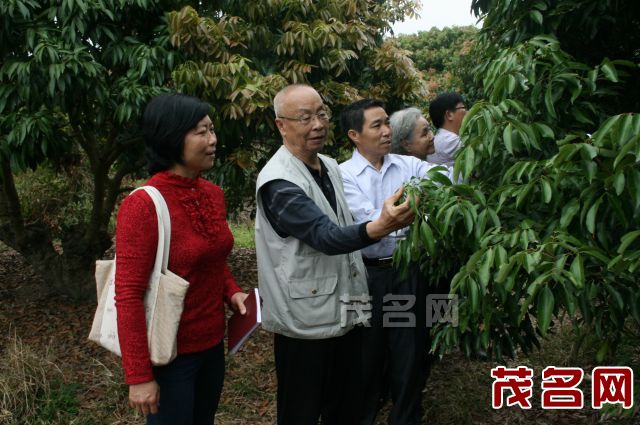 图片说明