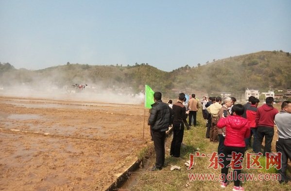 图片说明