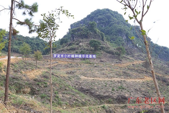 图片说明