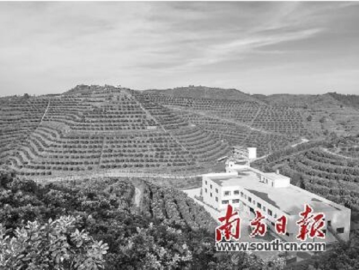图片说明