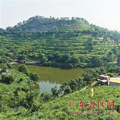 图片说明