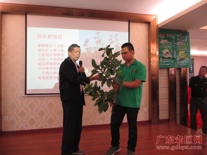 图片说明