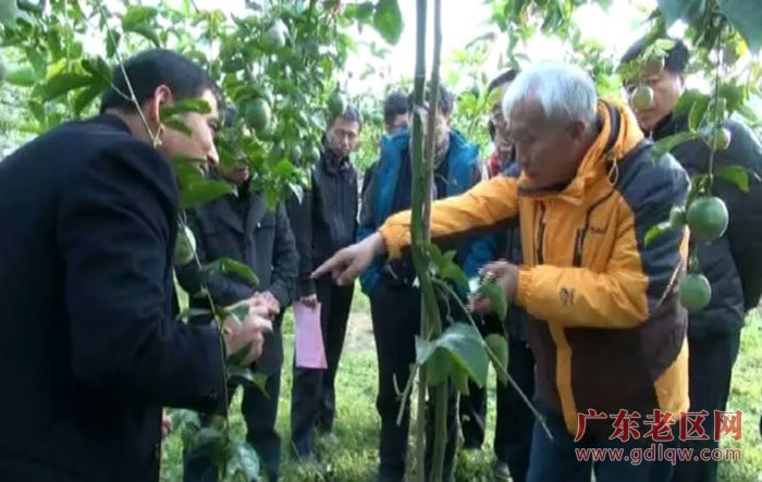 图片说明