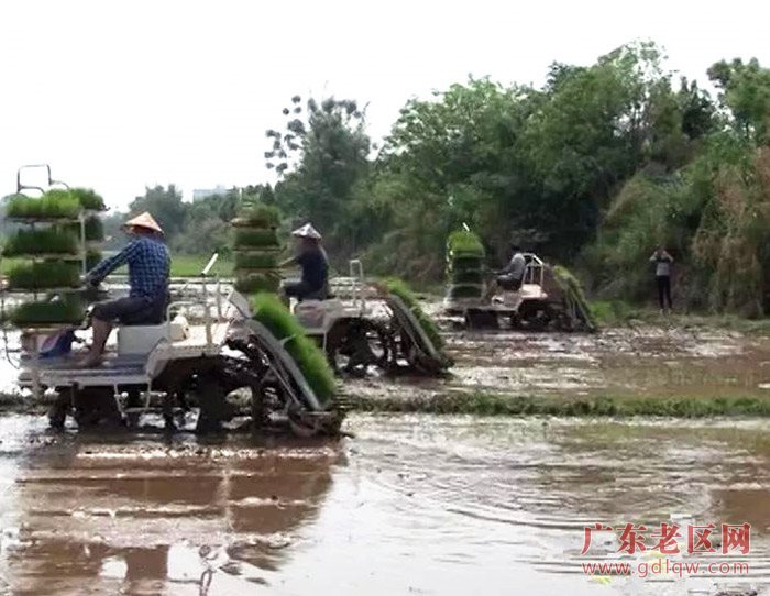 图片说明