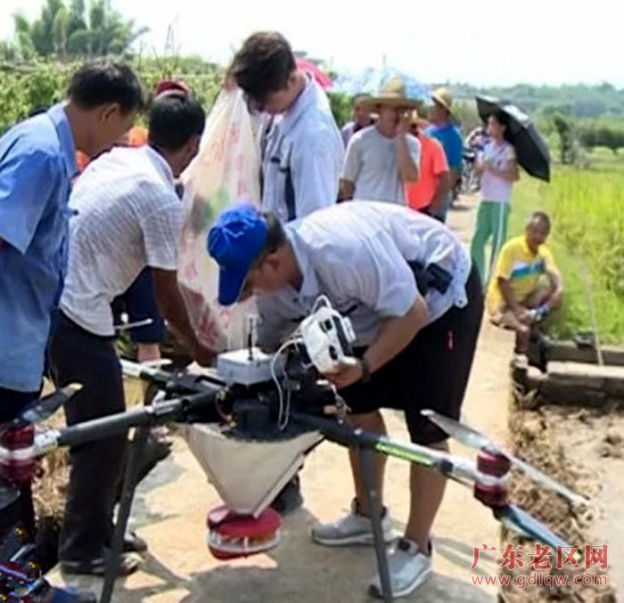 图片说明
