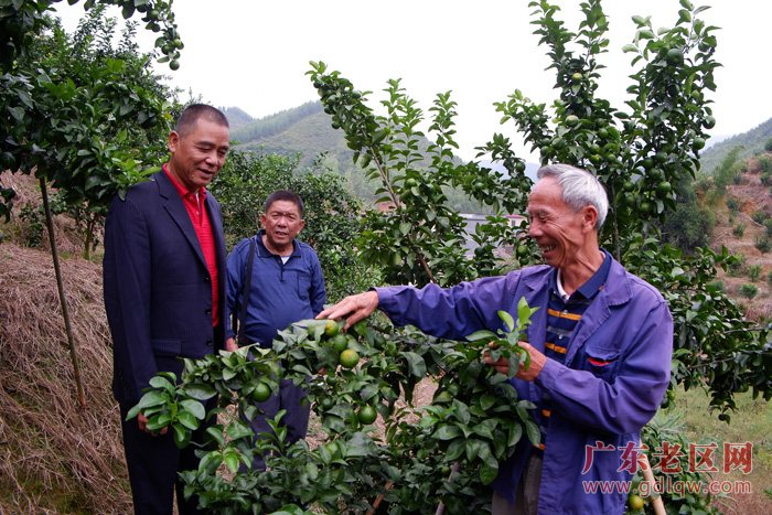 图片说明