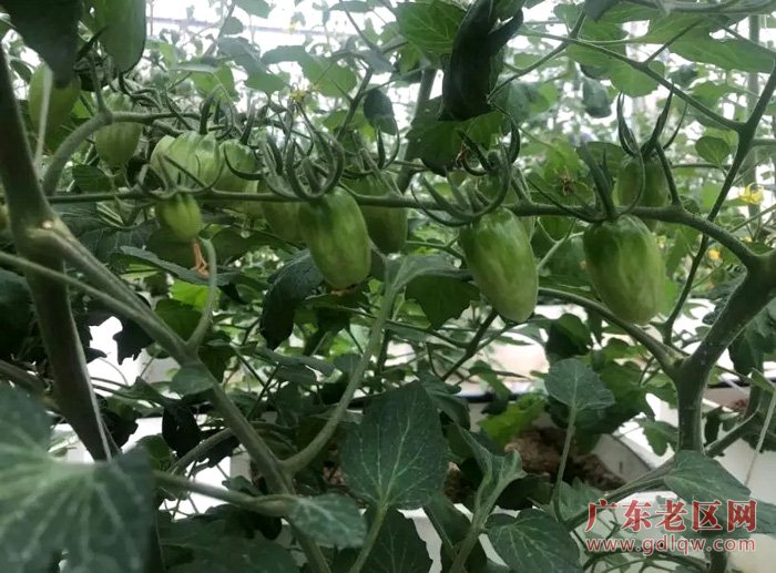 图片说明