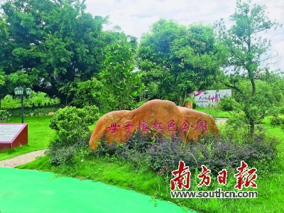 图片说明