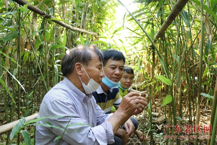 图片说明