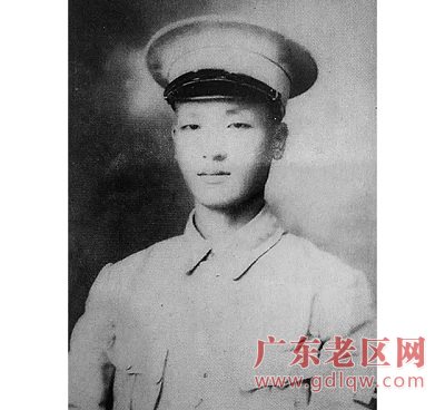 图片说明