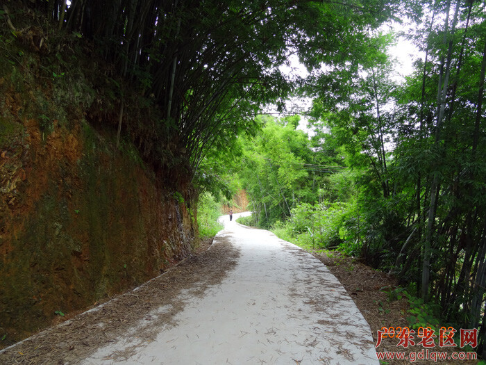 DSC00400.JPG