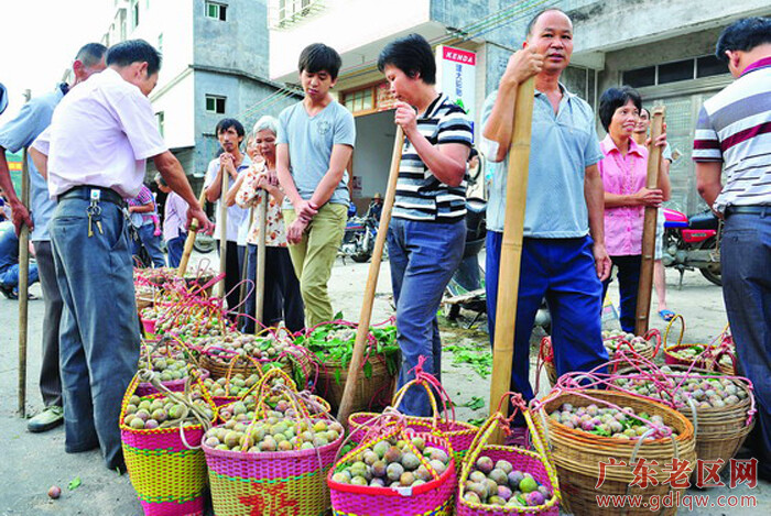 图为客商在信宜钱排收购果农获得丰产的三华李果。.jpg