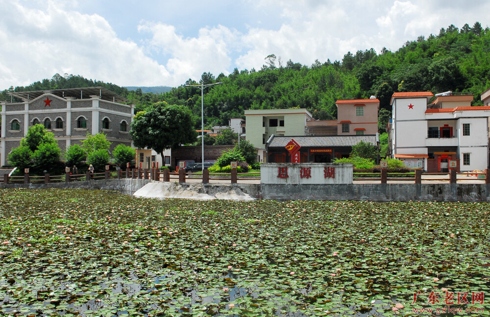 广宁江美村荷塘飘香(谭扬汉摄).JPG