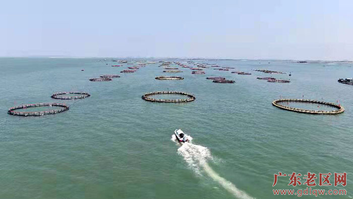 东里镇深海养殖网箱.jpg