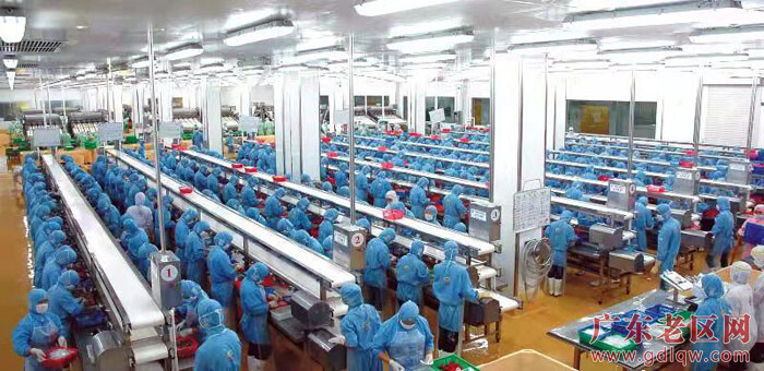 东里镇水产品加工基地.jpg