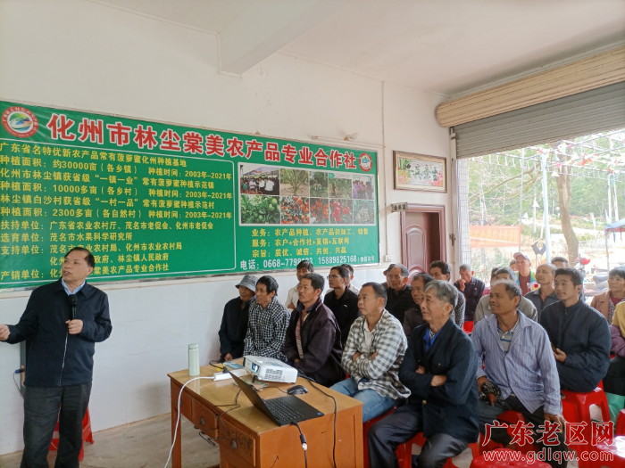 图为茂名市老促会副会长邓振权深入化州菠萝蜜产区给果农讲授菠萝蜜产期调控栽培管理技术现场.jpg