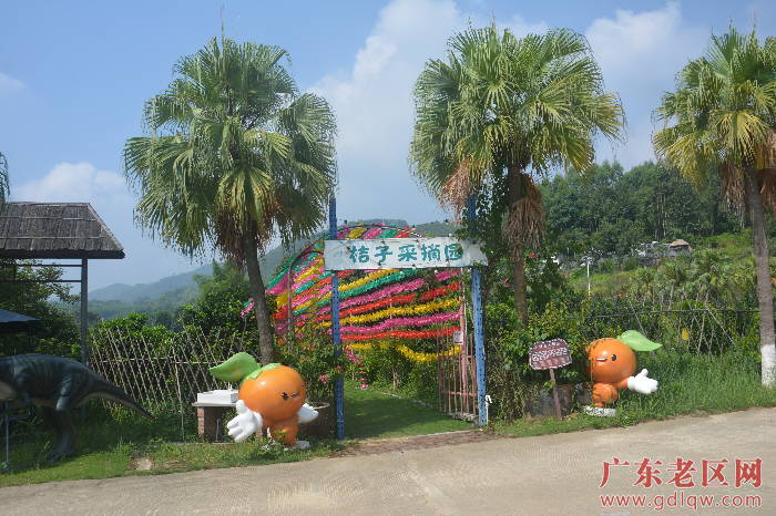 桔子采摘园.png