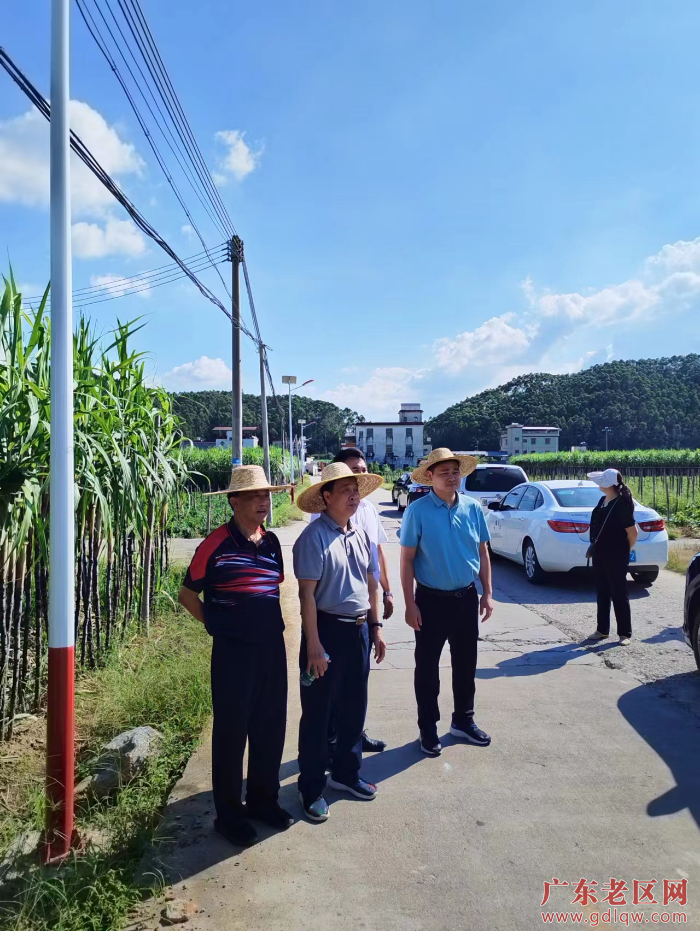 在英市横石水镇调研新星村光亮工程.jpg