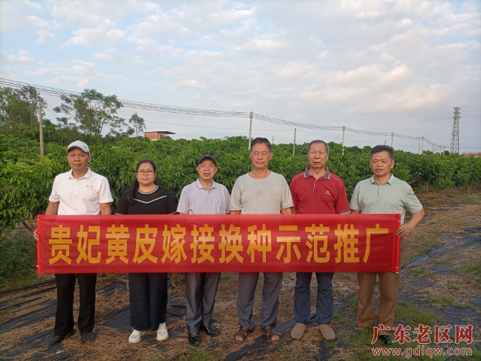 1 图为茂名市老促会、扶促会调研组深入茂南区金塘镇南埜村纪泉文果场调研并合影.jpg