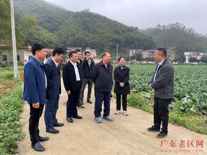 陈端会长（右3）带队的调研组考察稻菜轮作基地.png