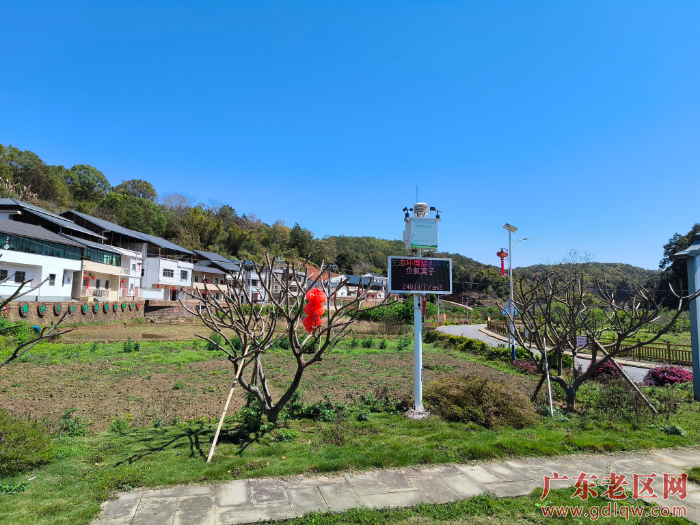 新洲村2.jpg