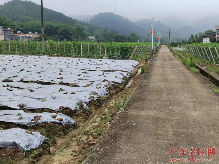 2蔬菜种植基地 (1).jpg