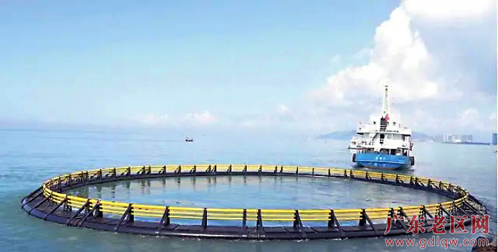汕尾市围绕建设沿海经济带靓丽明珠，开展系列攻坚.其中聚焦产业发展，新引进超亿元项目172个。.webp.jpg