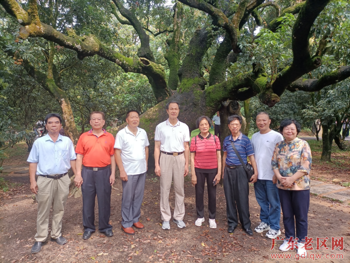 图为韶关市老促会赴茂名市调研考察学习，参观高州荔枝贡园并合影.jpg