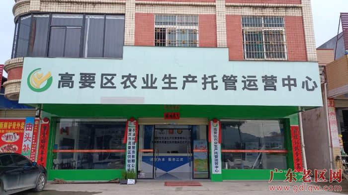 高要区设立的农业生产托管运营中心.png