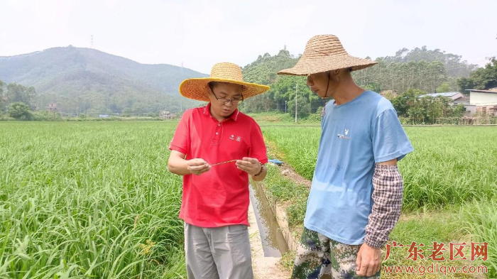 “田保姆”陈其亮正与农民交谈.png