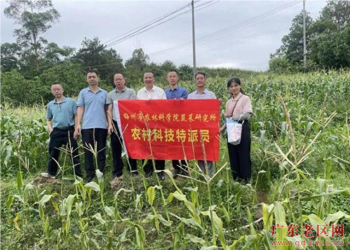 梅州市农林科学院蔬菜所科技特派团队.jpg