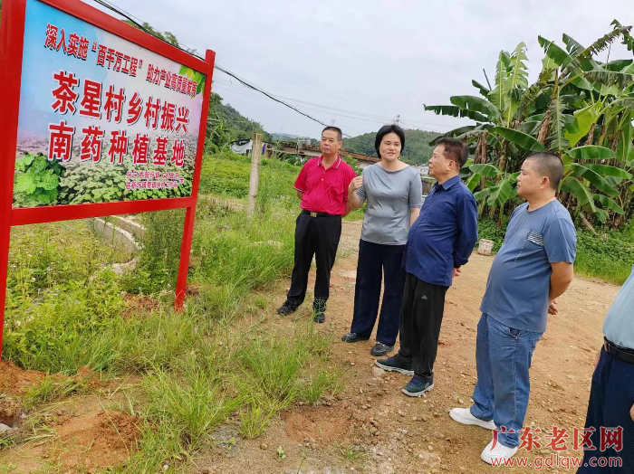 参观南药种植基地.jpg
