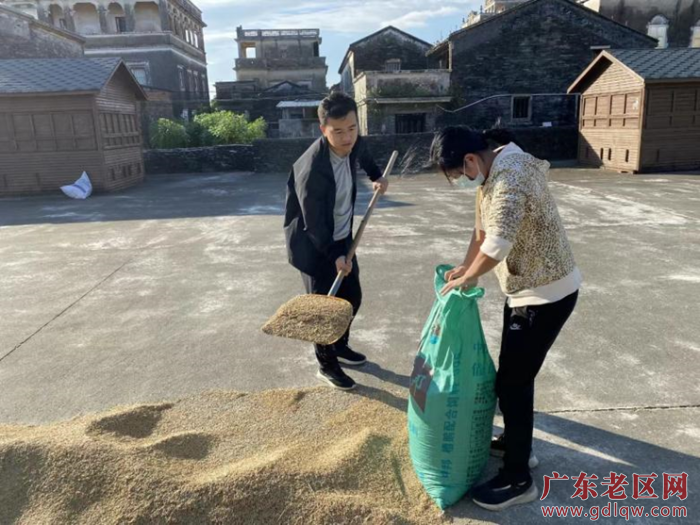 横江老区村驻村第一书记李鹏举（左）帮村民收稻谷.png