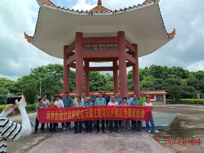 河西街道合岗村党总支部“一.七”活动 .jpg
