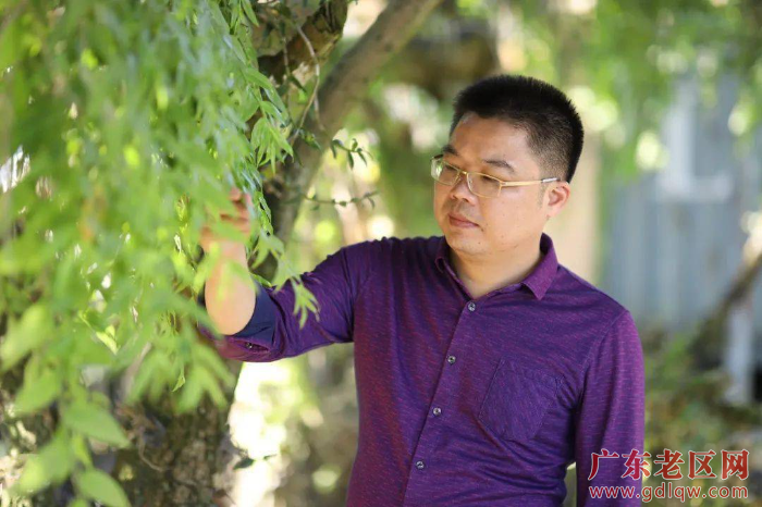蔡宏浩检查铁皮石斛生长情况.jpeg