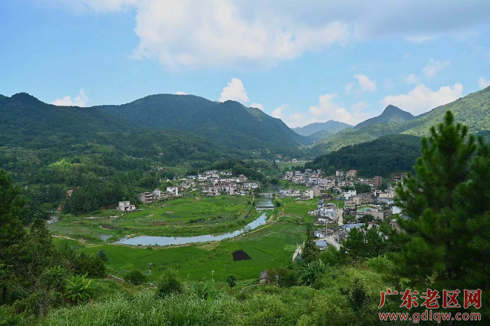 桐树坪村.png