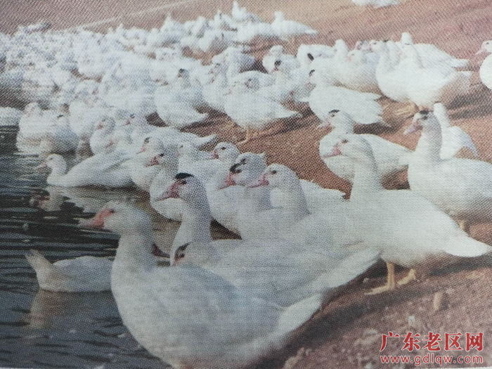 微信图片_20240923111850.jpg
