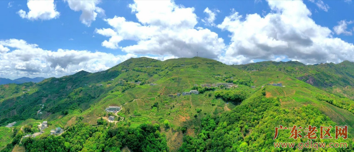 白茫輋村.png