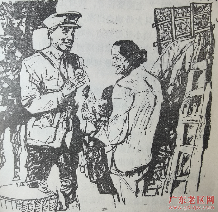 老婆婆把鸡塞到朱德手里.png