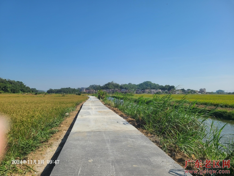 村道硬底化.png