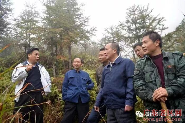 微信图片_20250102182049.jpg