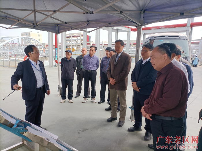 图为茂名市老促会深入滨海新区茂名港博贺新港区通用码头参观调研.jpg