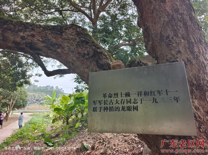 微信图片_20250225112829.jpg