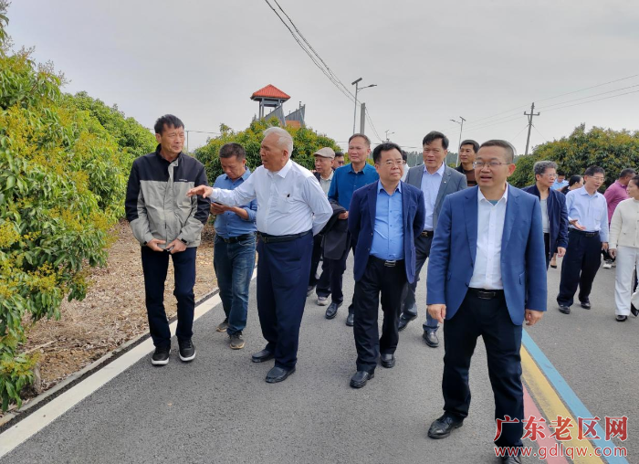 2省老促会调研组一行到遂溪新屋村了解荔枝种植生产情况.png