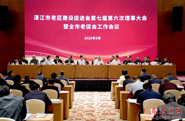 湛江市理事会议.png