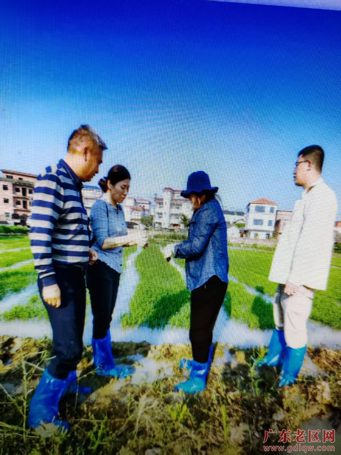 嘉应学院指导春耕生产.jpg