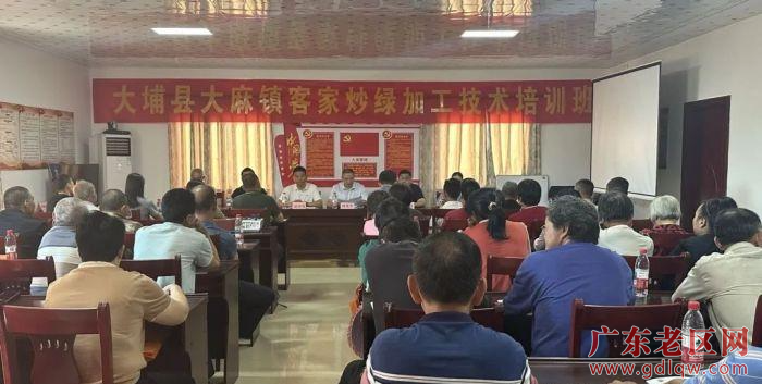 1  2025年大埔县客家炒绿加工技术培训班.jpg