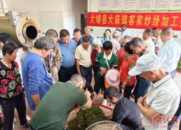 2  2025年大埔县客家炒绿加工技术培训班2.jpg