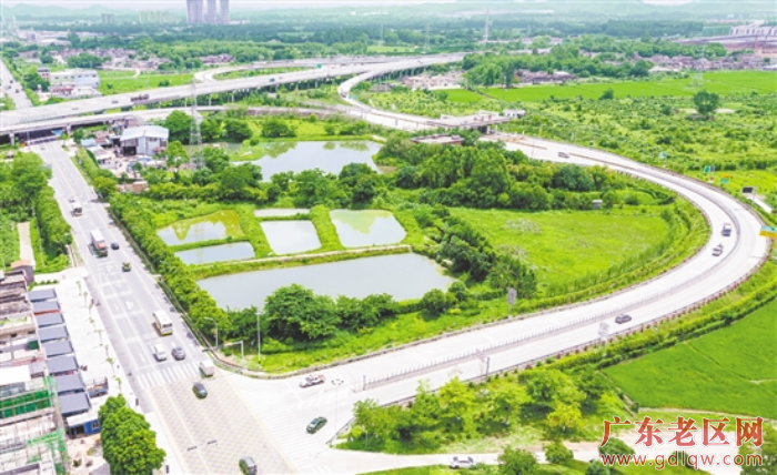 1近年来，水步镇先后投入约500万元用于周边廊道建设。.png