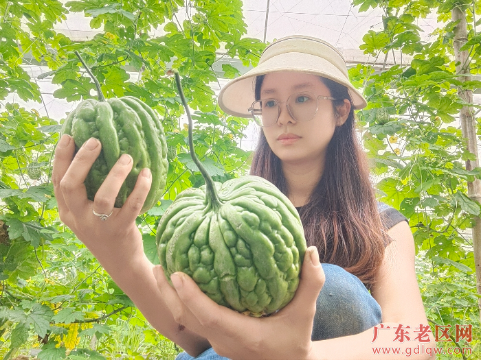 1罗慈珊_20250702112608.jpg